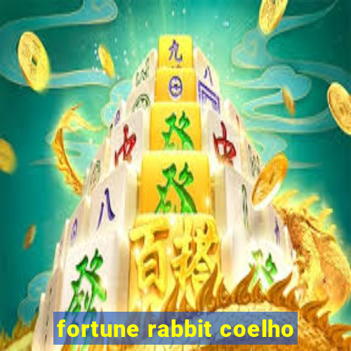 fortune rabbit coelho